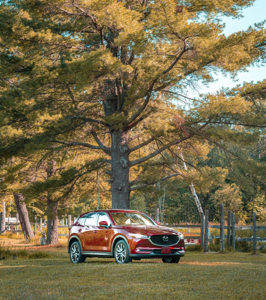  Mazda CX-5 Signature Skyactiv-D 2018 года  (CA) (фото 16 из 20)